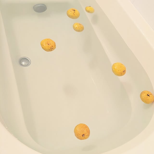 prepreさんの実例写真