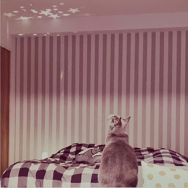 snoopyさんの部屋