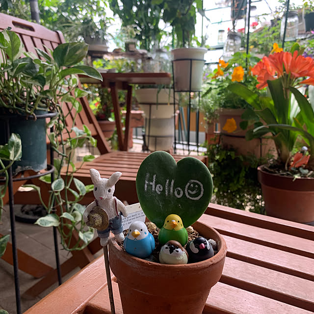 Aqettyさんの部屋