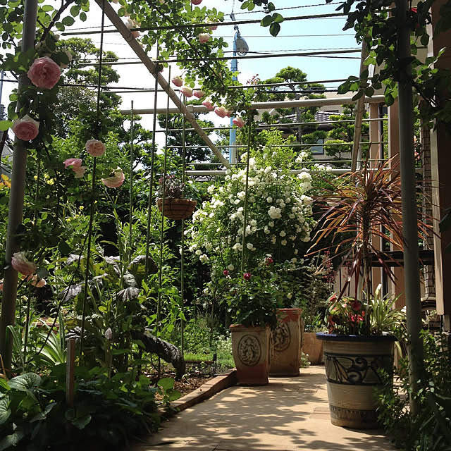 botanさんの実例写真