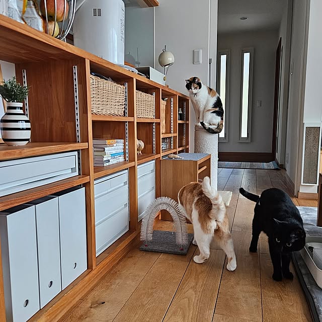 koyurizuさんの実例写真