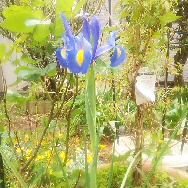 Tomopさんの実例写真