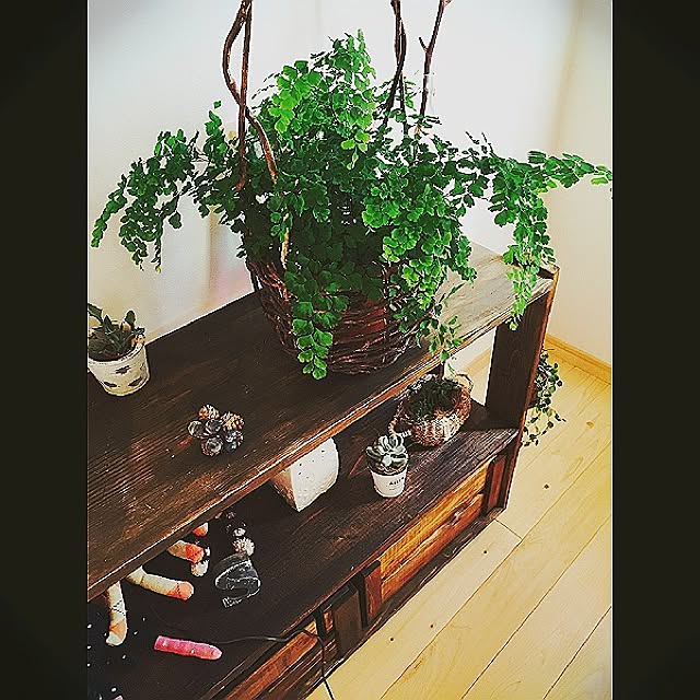 Minaさんの実例写真