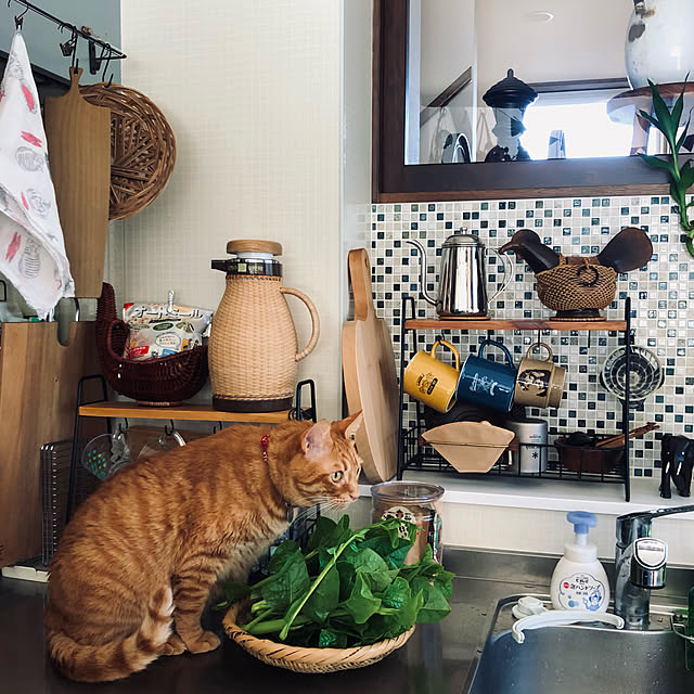 Maruさんの実例写真
