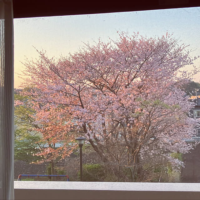 yuzuさんの実例写真