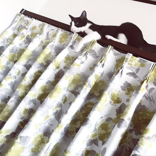 cureさんの実例写真