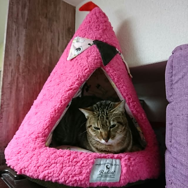 poniさんの実例写真