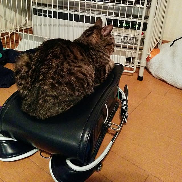 mametarouさんの実例写真