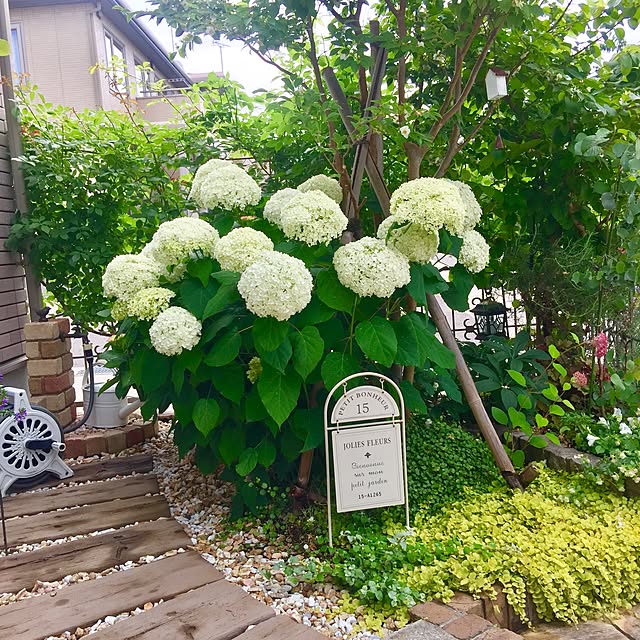 UNI.mamaさんの実例写真