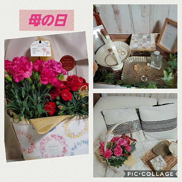 cocoaさんの実例写真