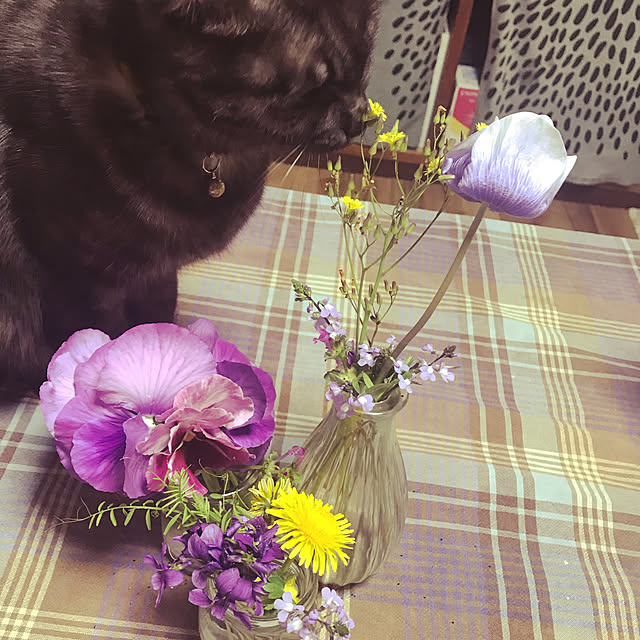 tommysobacさんの実例写真