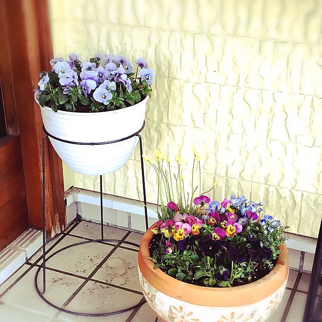 tanyuumoさんの実例写真