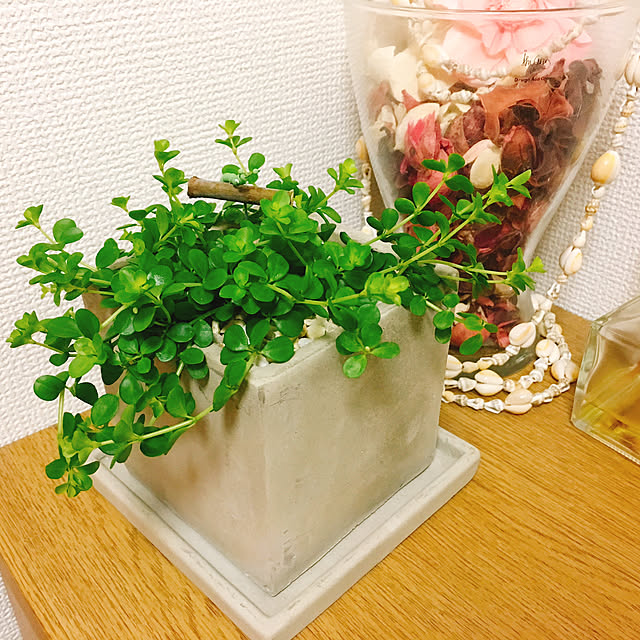 RiKoさんの実例写真