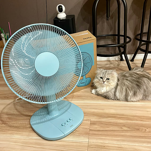 akimamさんの実例写真