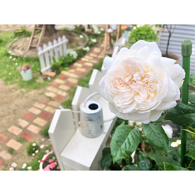 ponさんの実例写真