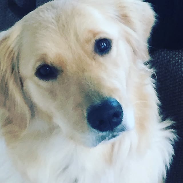Kazueさんの実例写真