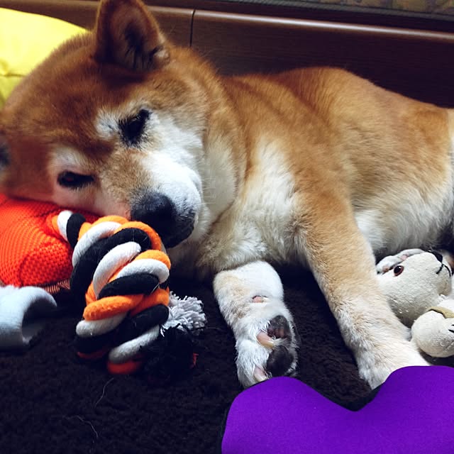 Hanaさんの実例写真