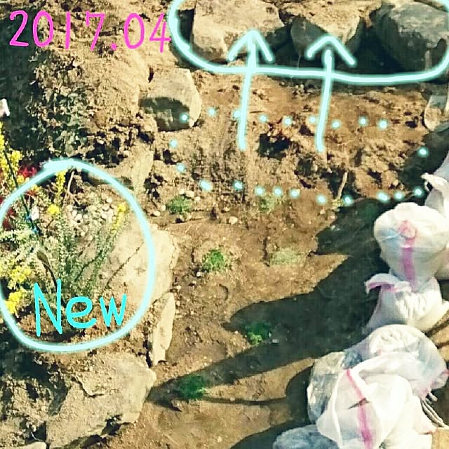 naboさんの実例写真