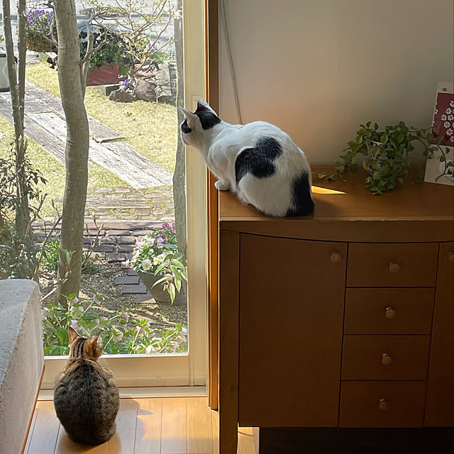nobikoさんの実例写真