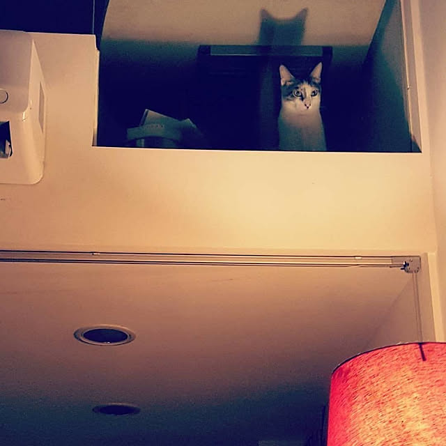 CinqinTWさんの実例写真