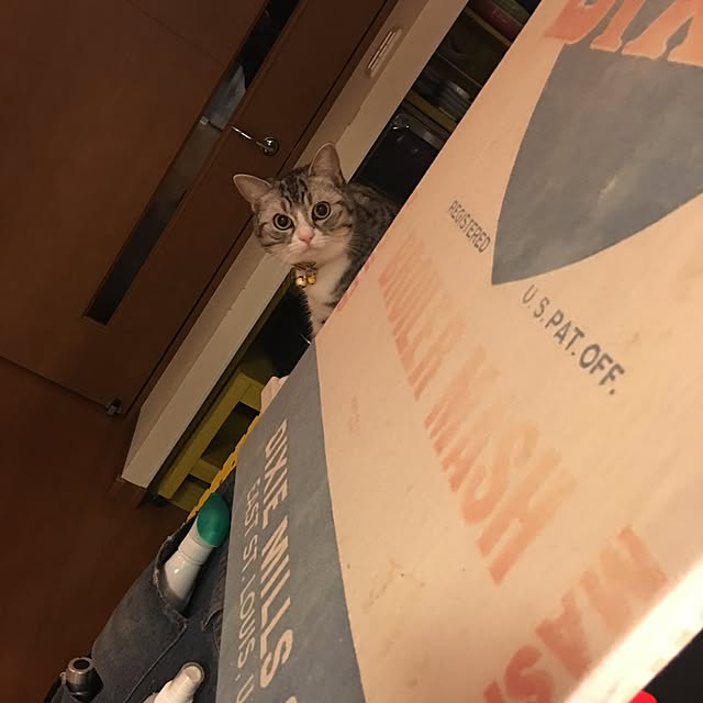 Shojiさんの実例写真