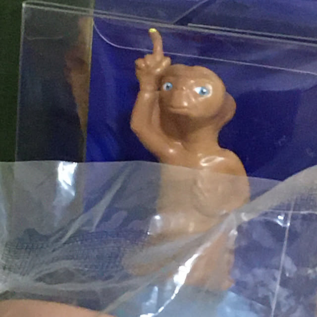 cotatuさんの実例写真