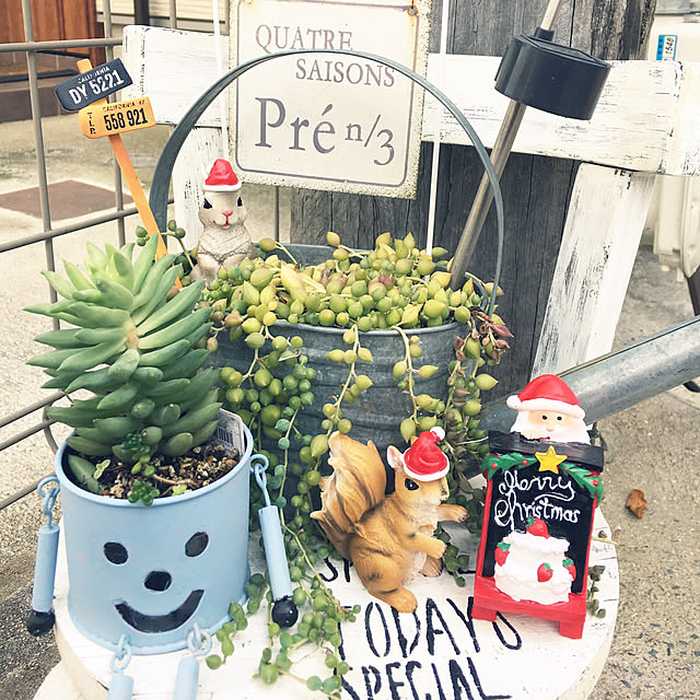 Sorieさんの実例写真