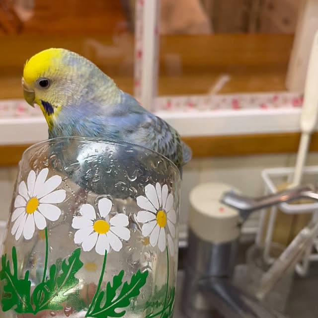 Atsukoさんの部屋