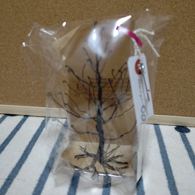 yumirinさんの実例写真