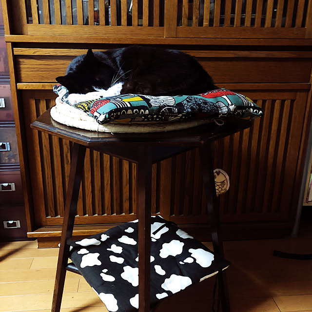 chibakimiさんの実例写真