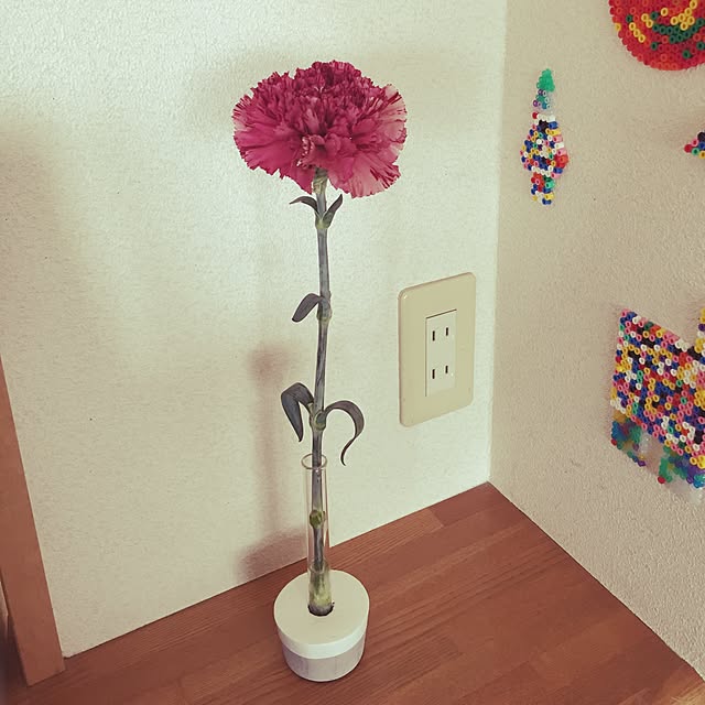 motinecoさんの実例写真