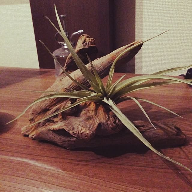ohagiさんの実例写真