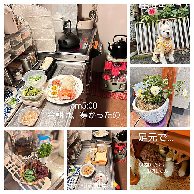 akaidarumaさんの実例写真
