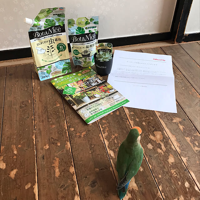 aoinokimiさんの実例写真