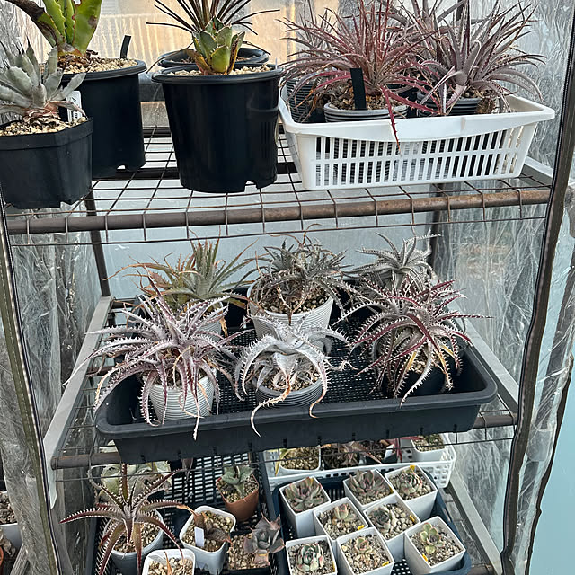 yaiyaiさんの部屋