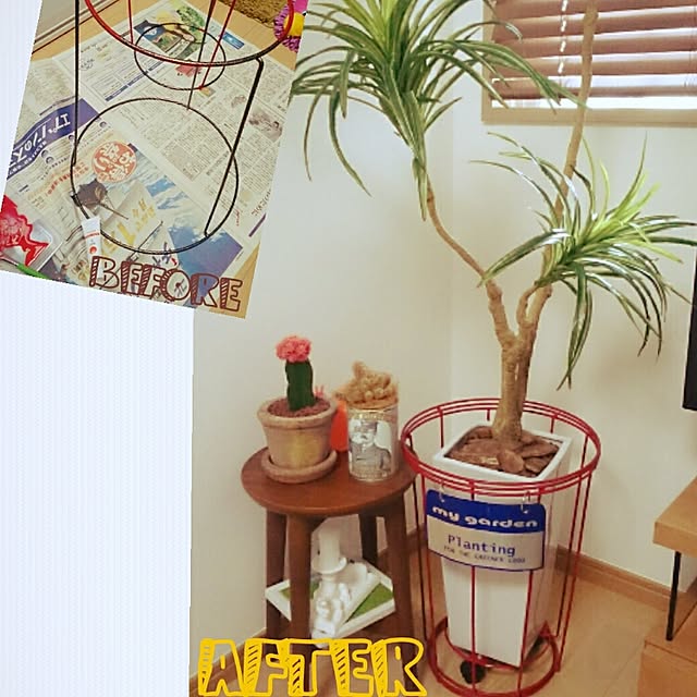 miicさんの実例写真