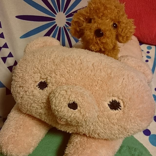 coaraさんの実例写真
