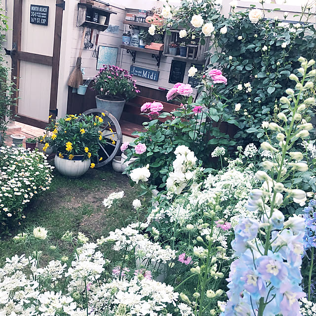 yushiさんの実例写真