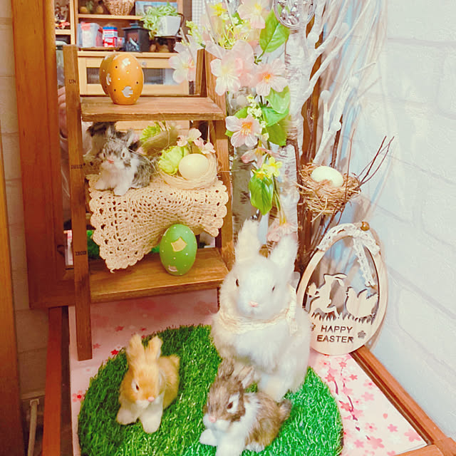 burachichiさんの実例写真