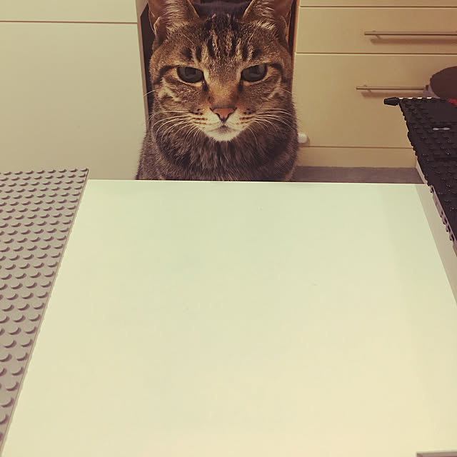 実例写真