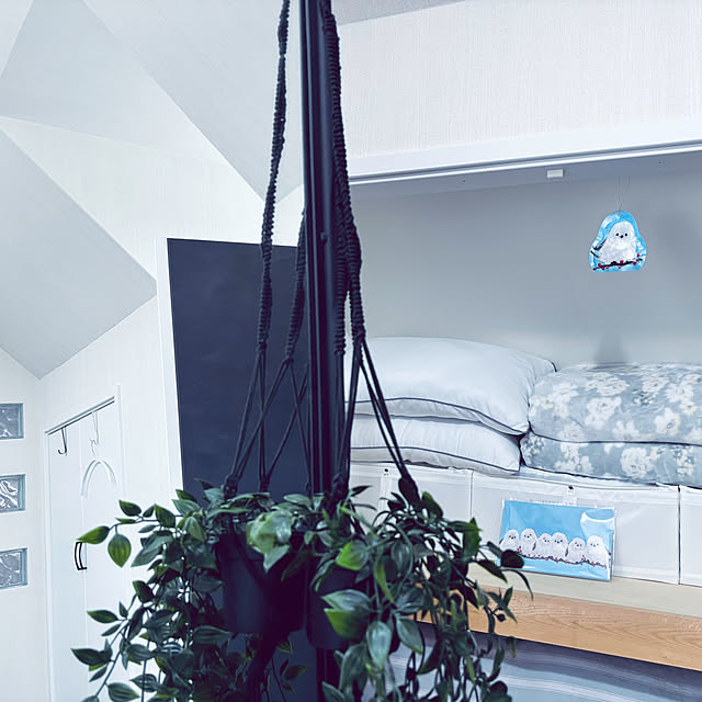 usagiさんの部屋