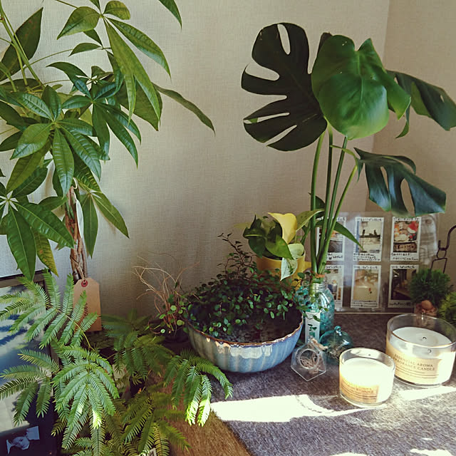 s.p.sunaoさんの実例写真