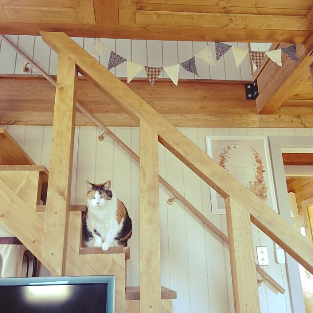 tsumugi_gardenさんの実例写真