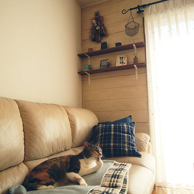 tomo1220さんの実例写真