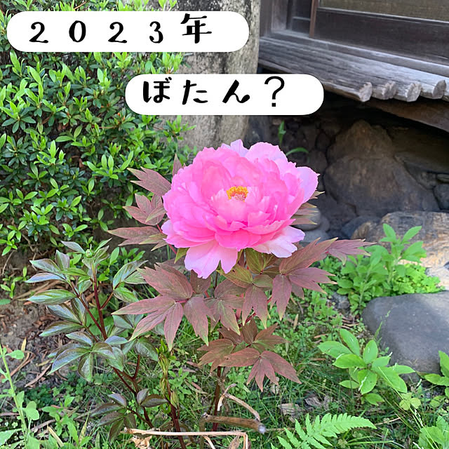 keiさんの部屋
