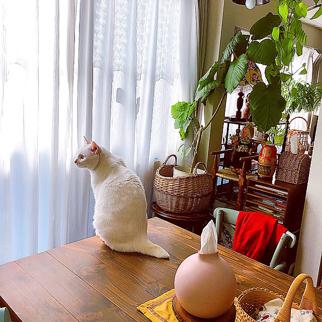 amifuuさんの部屋
