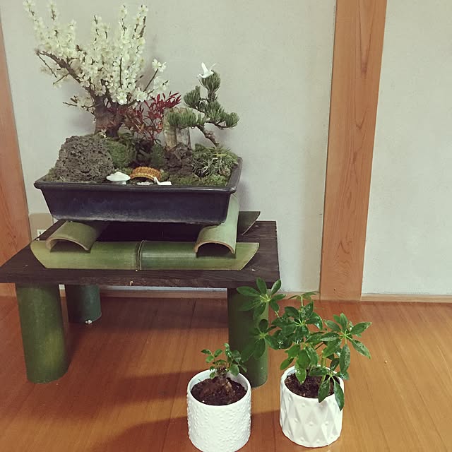 miki_kさんの実例写真
