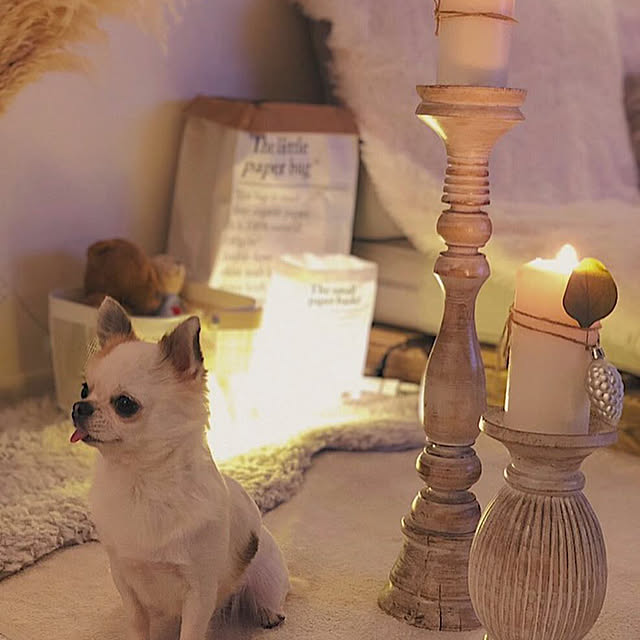 cocoさんの実例写真