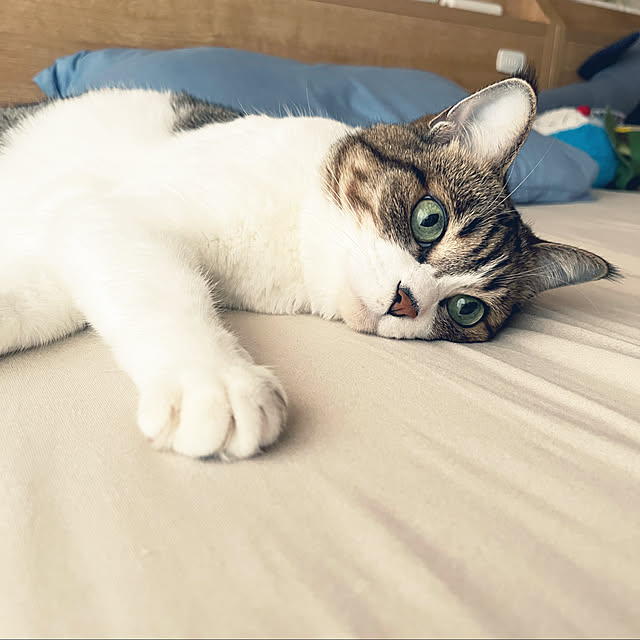 tiroさんの実例写真