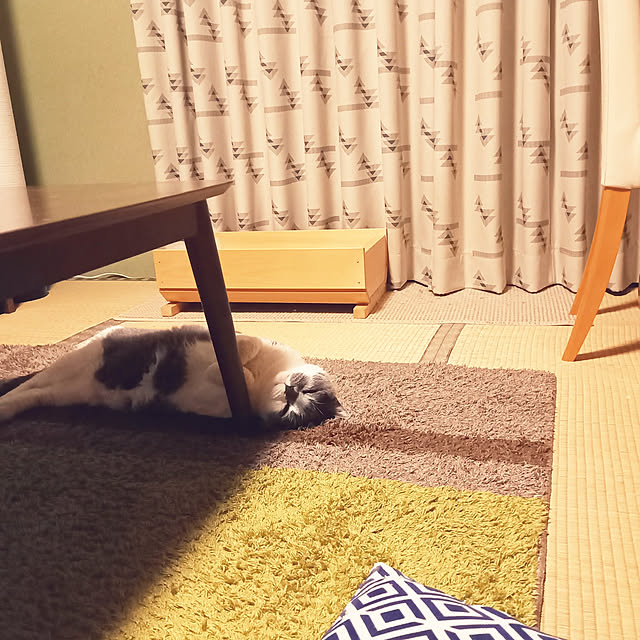 rhuさんの実例写真
